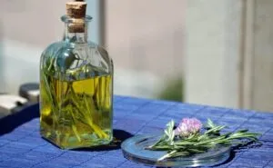 aceite de oliva de calidad