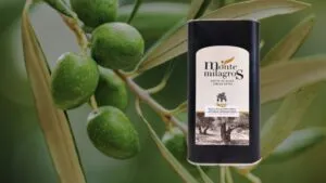 Mejor aceite de oliva para tomar crudo