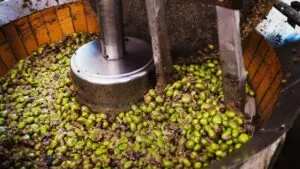 Aceite de oliva primera prensada
